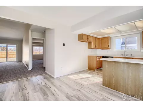 1033 Pinyon Dr, Windsor, CO 80550 photo 15