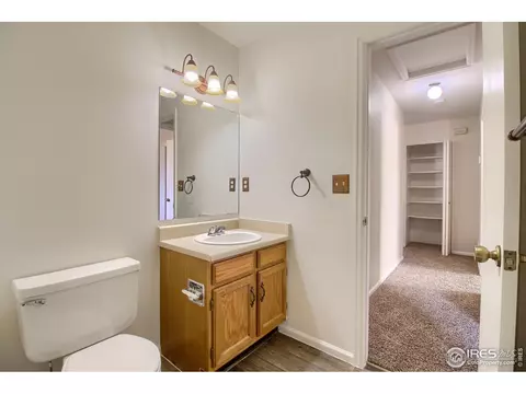 1033 Pinyon Dr, Windsor, CO 80550 photo 33