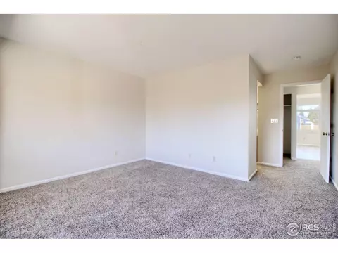 1033 Pinyon Dr, Windsor, CO 80550 photo 19