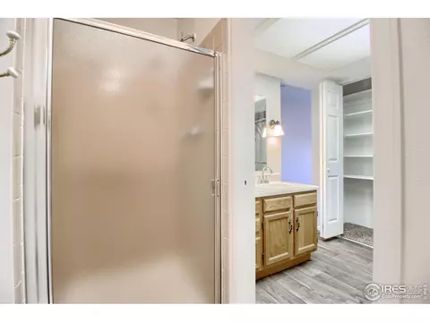 1033 Pinyon Dr, Windsor, CO 80550 photo 25