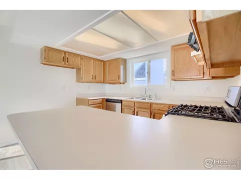 1033 Pinyon Dr, Windsor, CO 80550 photo 11