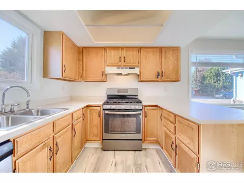 1033 Pinyon Dr, Windsor, CO 80550 photo 9