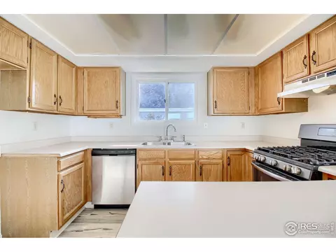 1033 Pinyon Dr, Windsor, CO 80550 photo 12