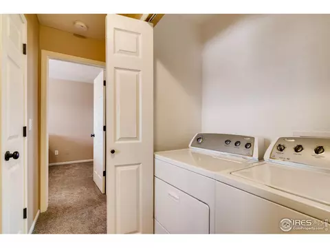 327 Scotch Pine Ct, Windsor, CO 80550 photo 18