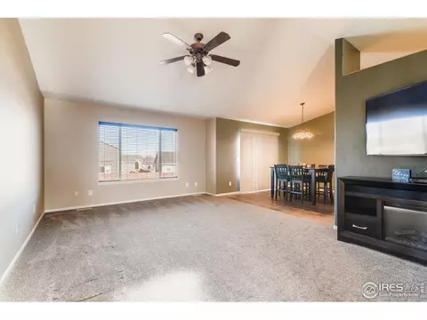 327 Scotch Pine Ct, Windsor, CO 80550 photo 6