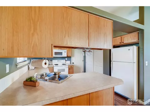 327 Scotch Pine Ct, Windsor, CO 80550 photo 12