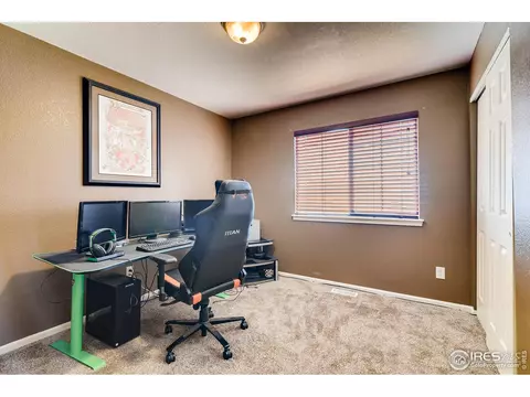 327 Scotch Pine Ct, Windsor, CO 80550 photo 20