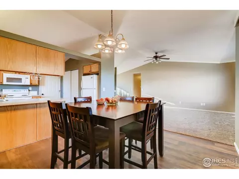 327 Scotch Pine Ct, Windsor, CO 80550 photo 11