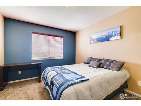 327 Scotch Pine Ct, Windsor, CO 80550 photo 19