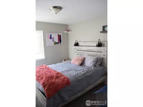 99 Pike Ln, Severance, CO 80550 photo 17
