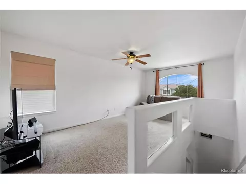 19557 March Dr, Denver, CO 80249 photo 18