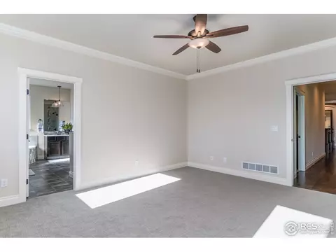 922 Pitch Fork Dr, Windsor, CO 80550 photo 21