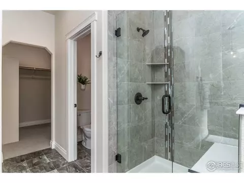 922 Pitch Fork Dr, Windsor, CO 80550 photo 26