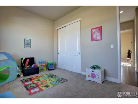 10960 E 162nd Dr, Brighton, CO 80602 photo 18