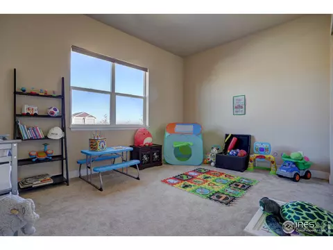 10960 E 162nd Dr, Brighton, CO 80602 photo 17