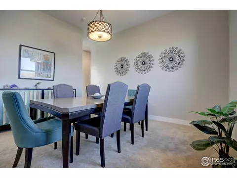 10960 E 162nd Dr, Brighton, CO 80602 photo 8