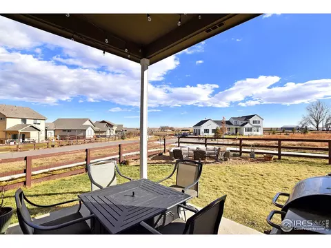 831 Shade Tree Dr, Windsor, CO 80550 photo 38