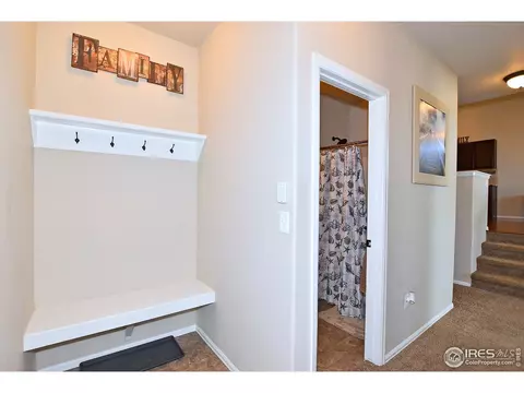831 Shade Tree Dr, Windsor, CO 80550 photo 18