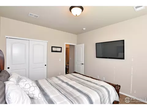 831 Shade Tree Dr, Windsor, CO 80550 photo 20