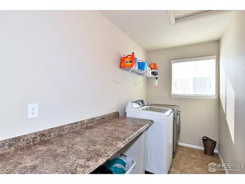 831 Shade Tree Dr, Windsor, CO 80550 photo 28