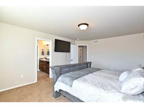 831 Shade Tree Dr, Windsor, CO 80550 photo 24