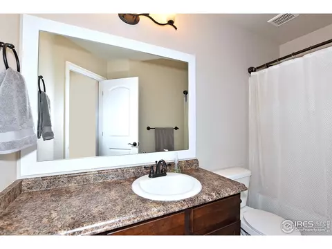 831 Shade Tree Dr, Windsor, CO 80550 photo 29