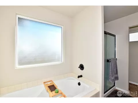 831 Shade Tree Dr, Windsor, CO 80550 photo 27