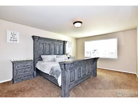 831 Shade Tree Dr, Windsor, CO 80550 photo 22