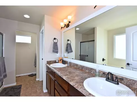831 Shade Tree Dr, Windsor, CO 80550 photo 26
