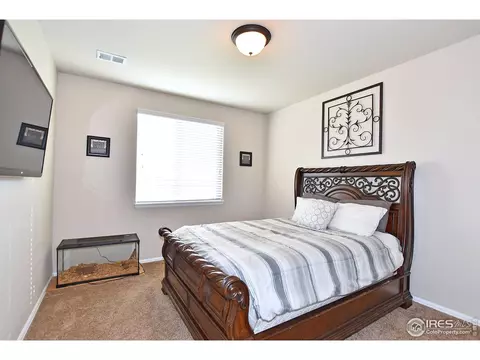 831 Shade Tree Dr, Windsor, CO 80550 photo 19