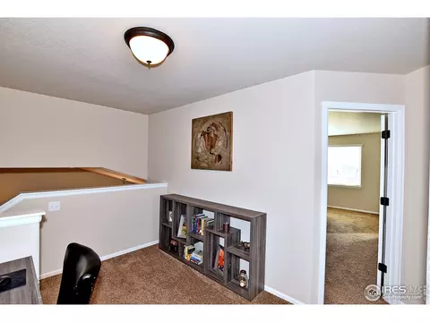 831 Shade Tree Dr, Windsor, CO 80550 photo 21