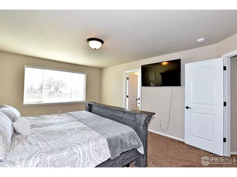 831 Shade Tree Dr, Windsor, CO 80550 photo 23
