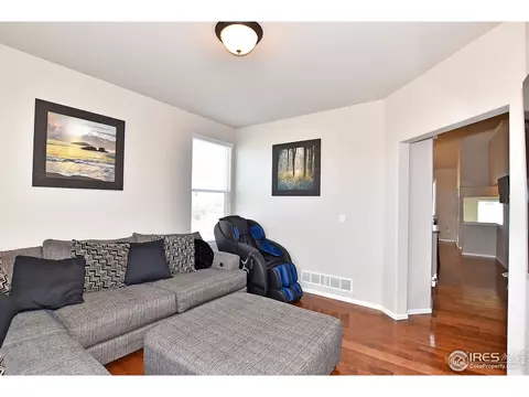 831 Shade Tree Dr, Windsor, CO 80550 photo 16