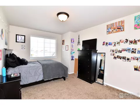 831 Shade Tree Dr, Windsor, CO 80550 photo 31