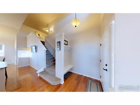 831 Shade Tree Dr, Windsor, CO 80550 photo 4