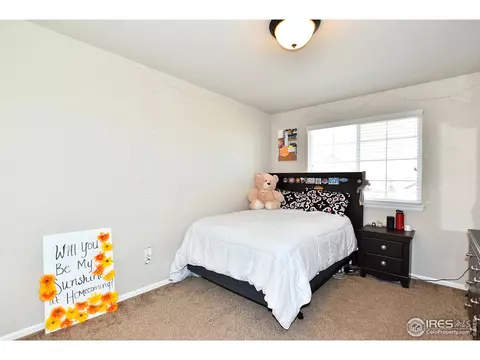 831 Shade Tree Dr, Windsor, CO 80550 photo 30