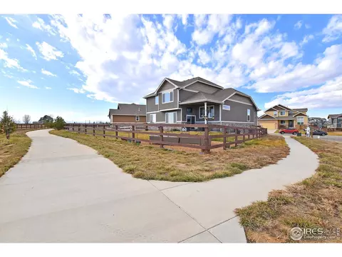 831 Shade Tree Dr, Windsor, CO 80550 photo 3