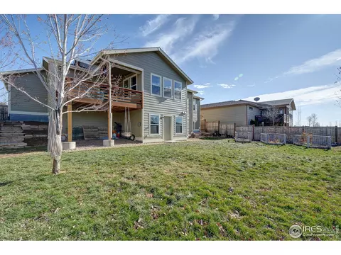 509 Prairie Clover Way, Severance, CO 80550 photo 28