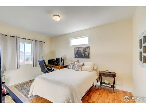 509 Prairie Clover Way, Severance, CO 80550 photo 17