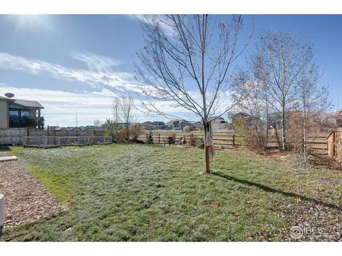 509 Prairie Clover Way, Severance, CO 80550 photo 31