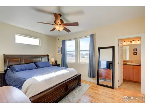 509 Prairie Clover Way, Severance, CO 80550 photo 21