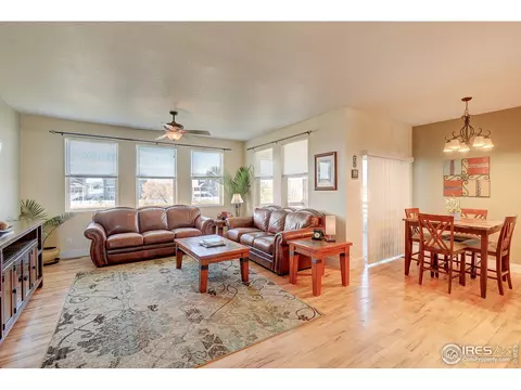 509 Prairie Clover Way, Severance, CO 80550 photo 6