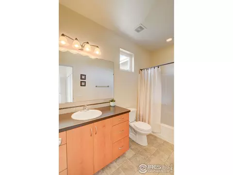509 Prairie Clover Way, Severance, CO 80550 photo 24
