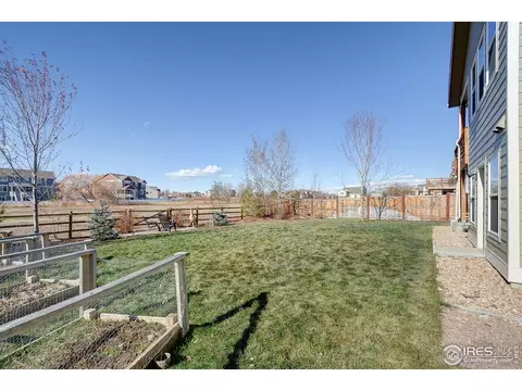 509 Prairie Clover Way, Severance, CO 80550 photo 32
