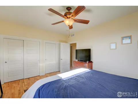 509 Prairie Clover Way, Severance, CO 80550 photo 22