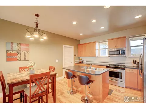 509 Prairie Clover Way, Severance, CO 80550 photo 10