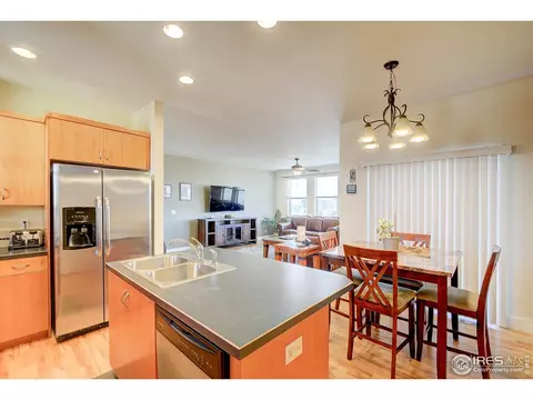 509 Prairie Clover Way, Severance, CO 80550 photo 14