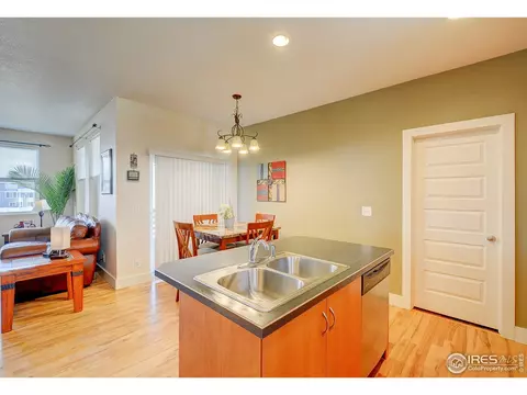 509 Prairie Clover Way, Severance, CO 80550 photo 13