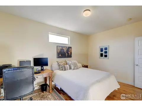 509 Prairie Clover Way, Severance, CO 80550 photo 18