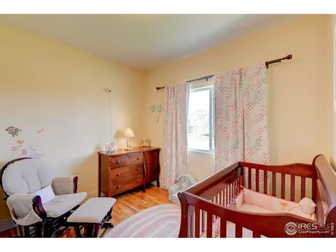 509 Prairie Clover Way, Severance, CO 80550 photo 19